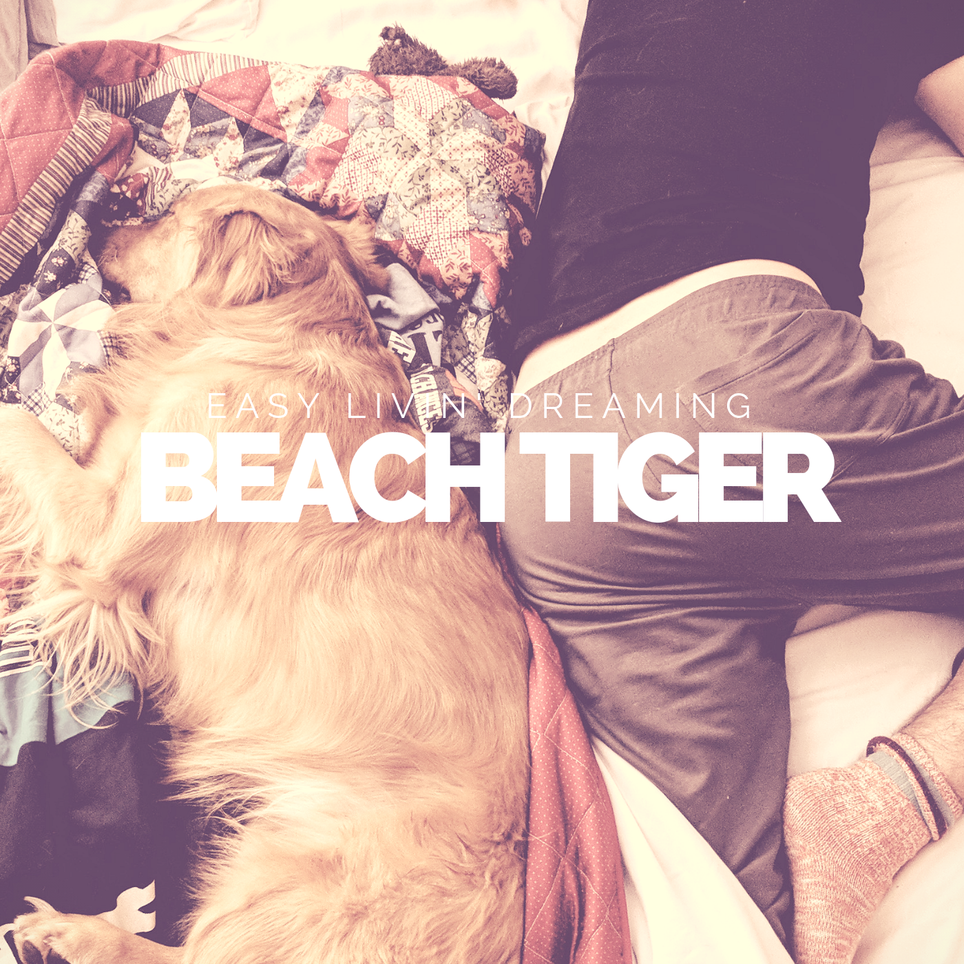 beach tiger 2.png